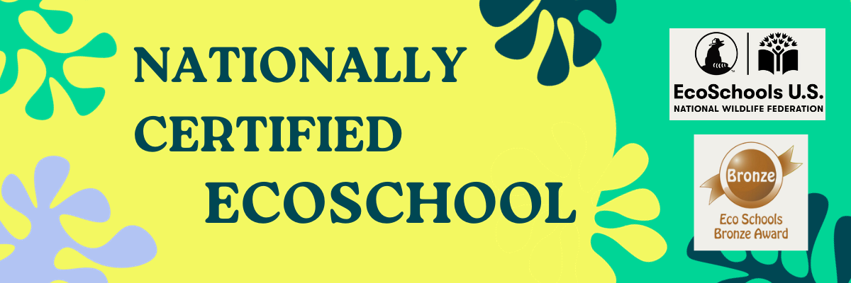 EcoSchool